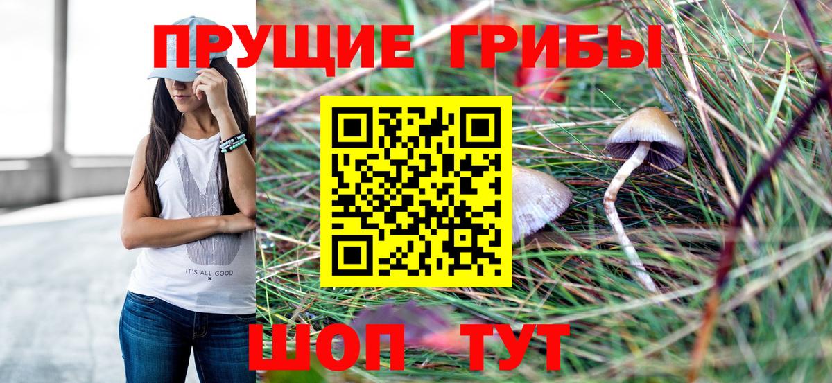 Псилоцибиновые грибы Psilocybe  Вход с VPN  Первоуральск  Галлюциногенные грибы мицелий 